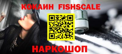 тгк Кингисепп