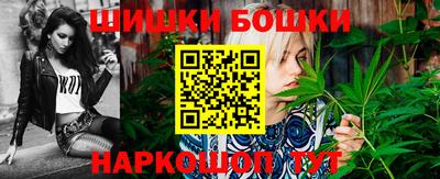тгк Кингисепп