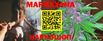 тгк Кингисепп