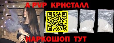 тгк Кингисепп