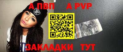 тгк Кингисепп