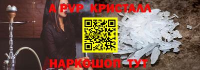 тгк Кингисепп