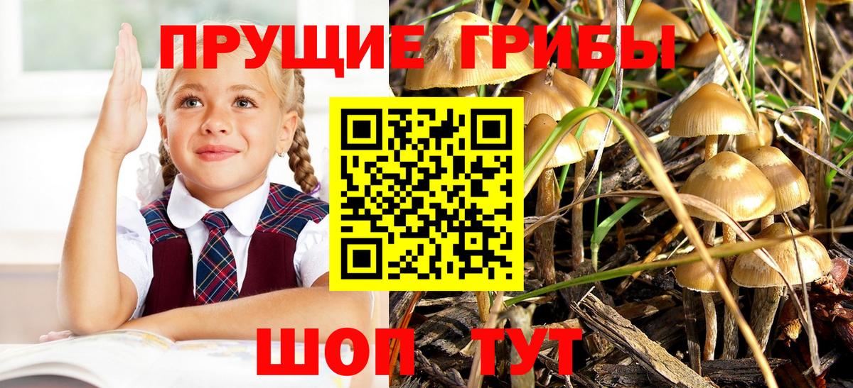 Буйнакск  Псилоцибиновые грибы мухоморы  наркошоп  Вход с VPN 